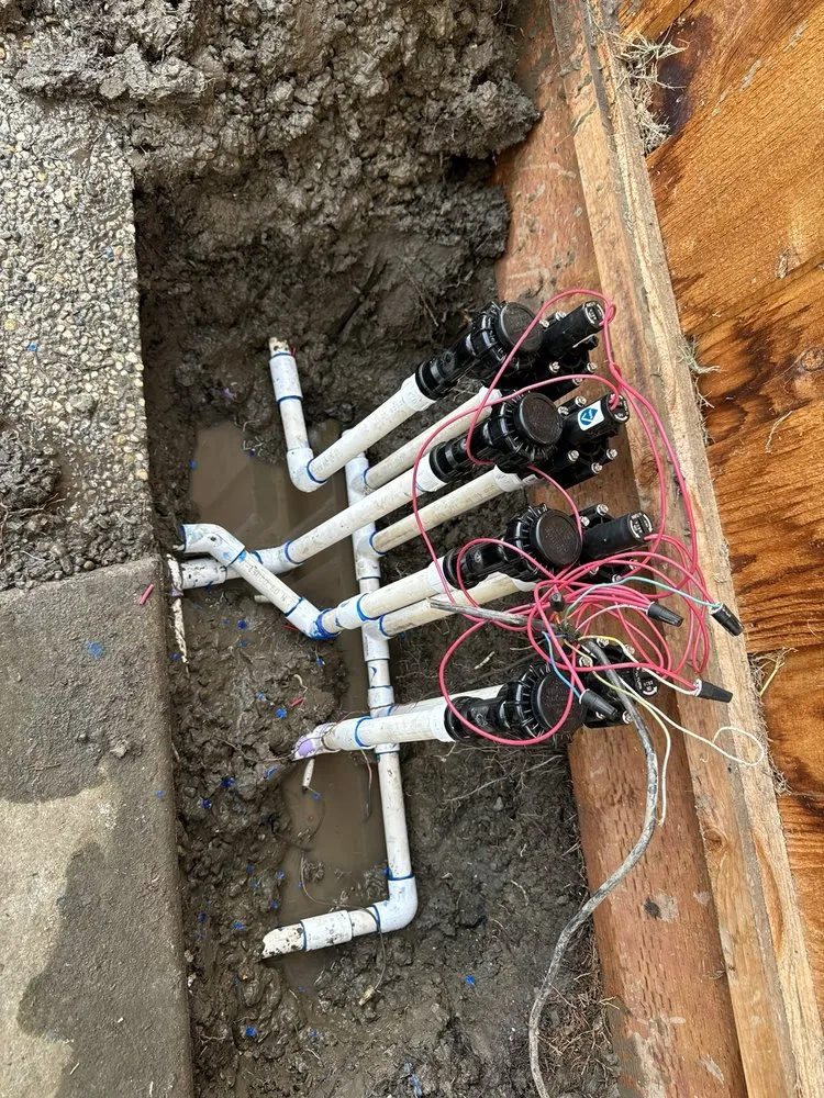 Custom landscaping services experts serving San Jose, CA - Cristian's Landscape Maintenance