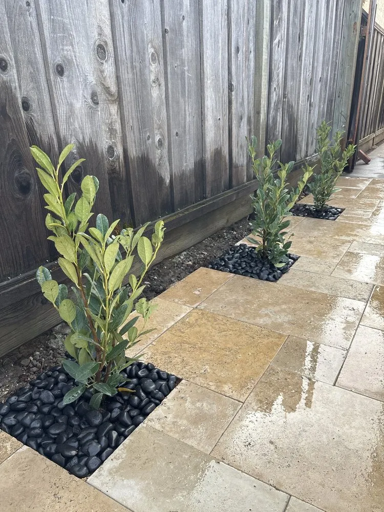 Expert lawn mowing service in San Jose, CA by Cristian's Landscape Maintenance