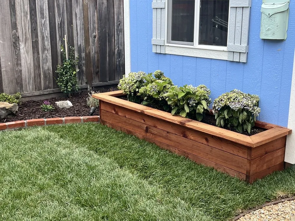 Trusted yard cleanup service in San Jose, CA by Cristian's Landscape Maintenance