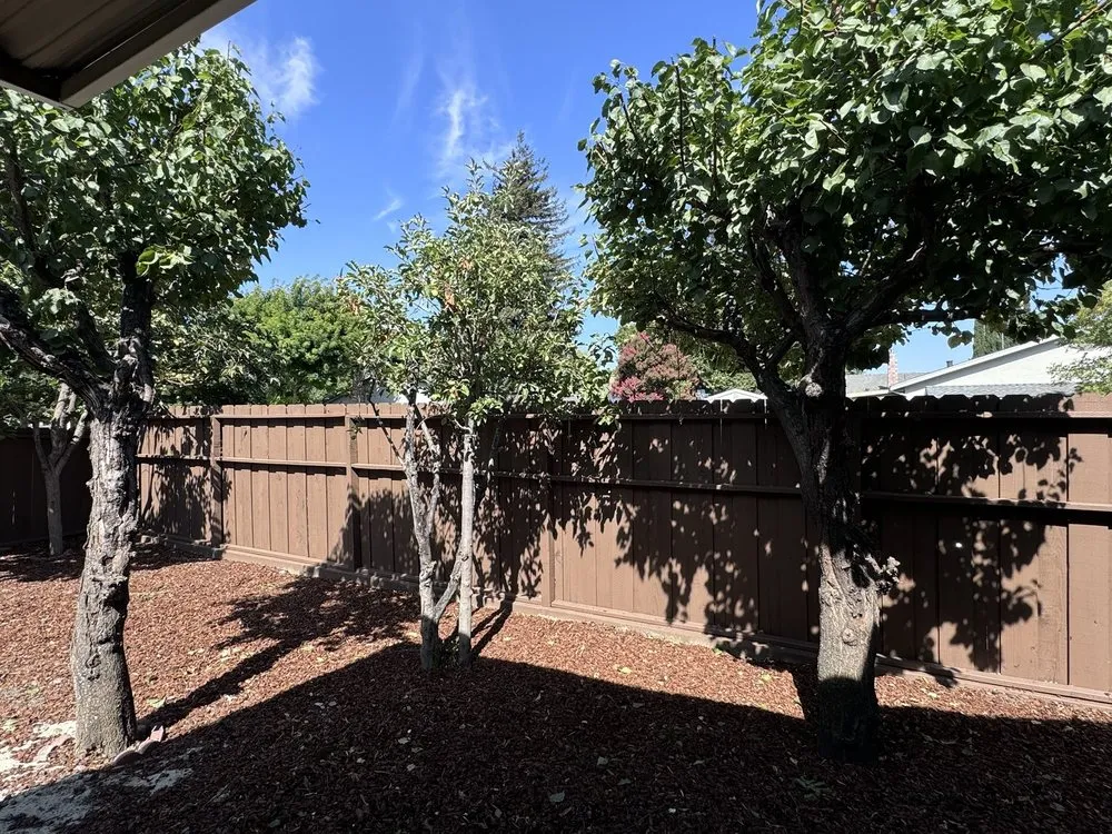 Local residential landscaping experts serving San Jose, CA - Cristian's Landscape Maintenance