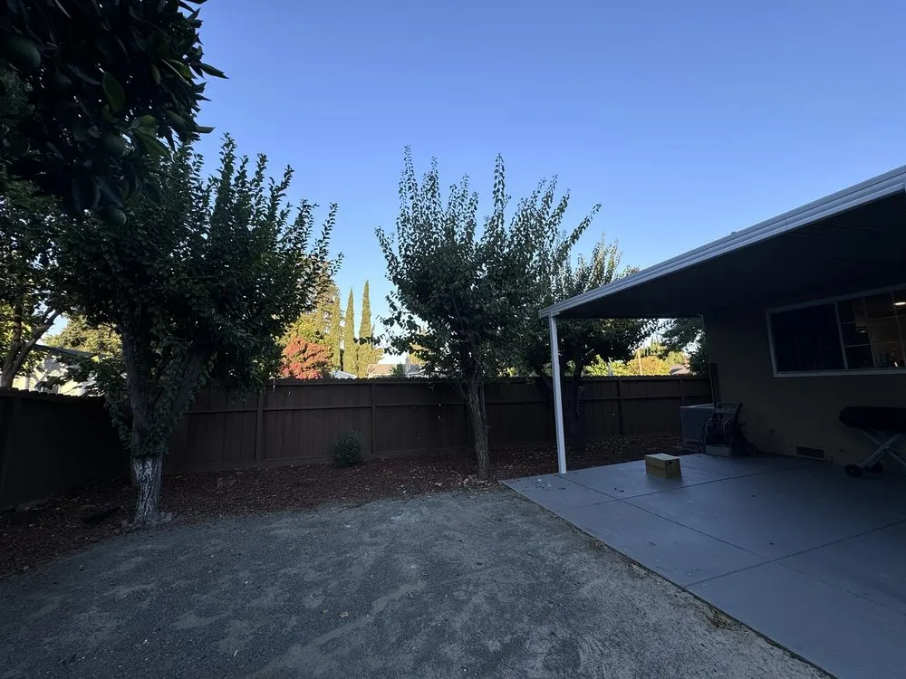 Professional yard cleanup service for year-round maintenance in San Jose, CA by Cristian's Landscape Maintenance