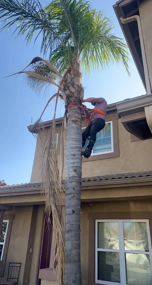 Affordable lawn mowing service experts serving Delano, CA - Cristian’s Landscaping and Trimming