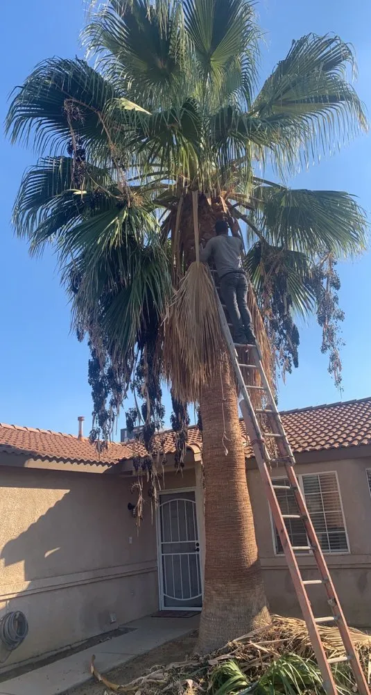 Professional yard cleanup service for residential properties across Delano, CA - Cristian’s Landscaping and Trimming