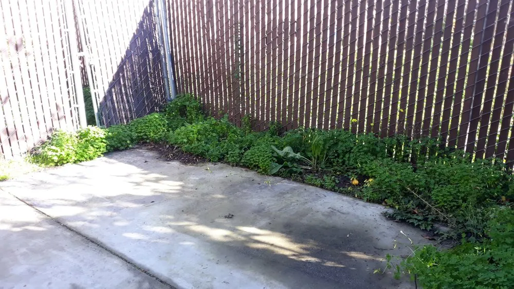 Expert landscape design for homes in Oakland, CA by Cristo Landscaping