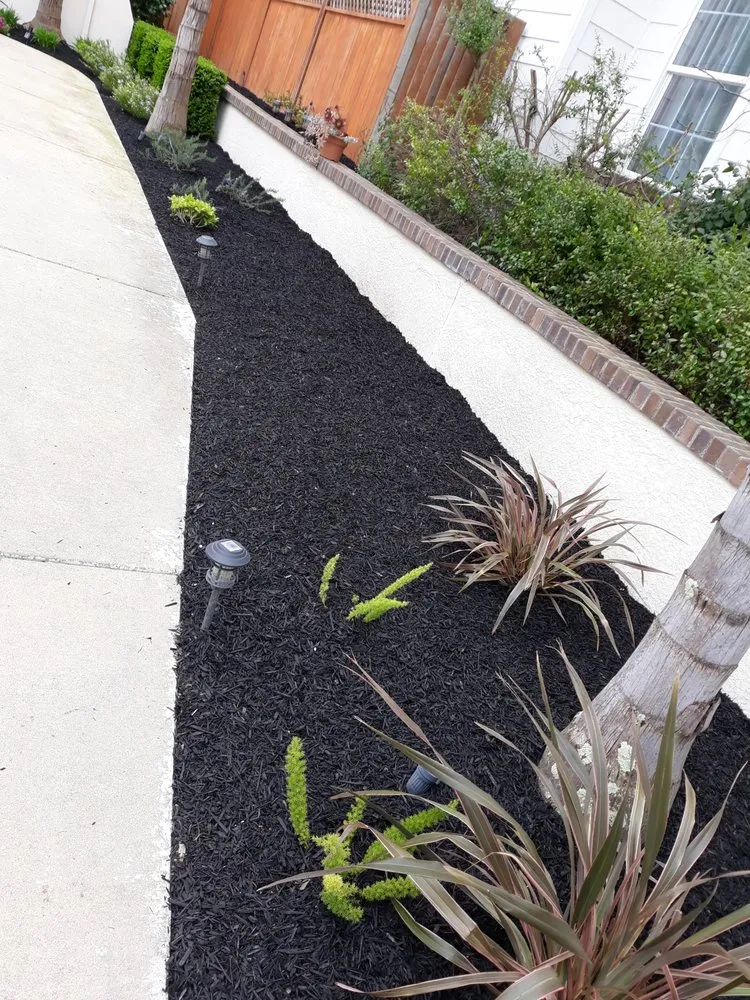 Professional landscaping services for residential properties in Oakland, CA by Cristo Landscaping