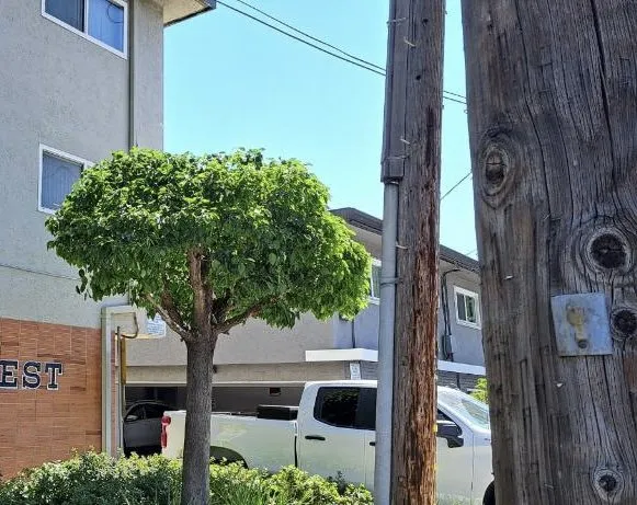 Affordable lawn care service in Oakland, CA - Cristo Landscaping