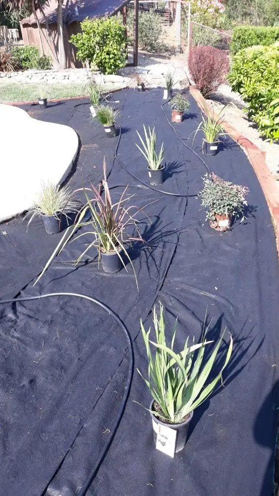 Top-rated landscape installation experts serving Oakland, CA - Cristo Landscaping