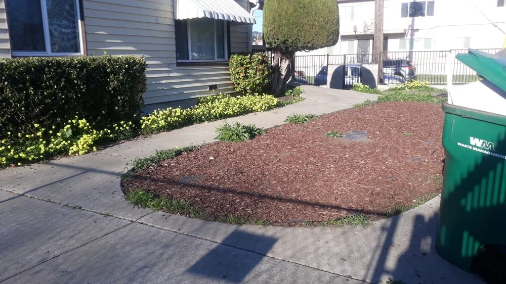Professional yard maintenance in Oakland, CA by Cristo Landscaping