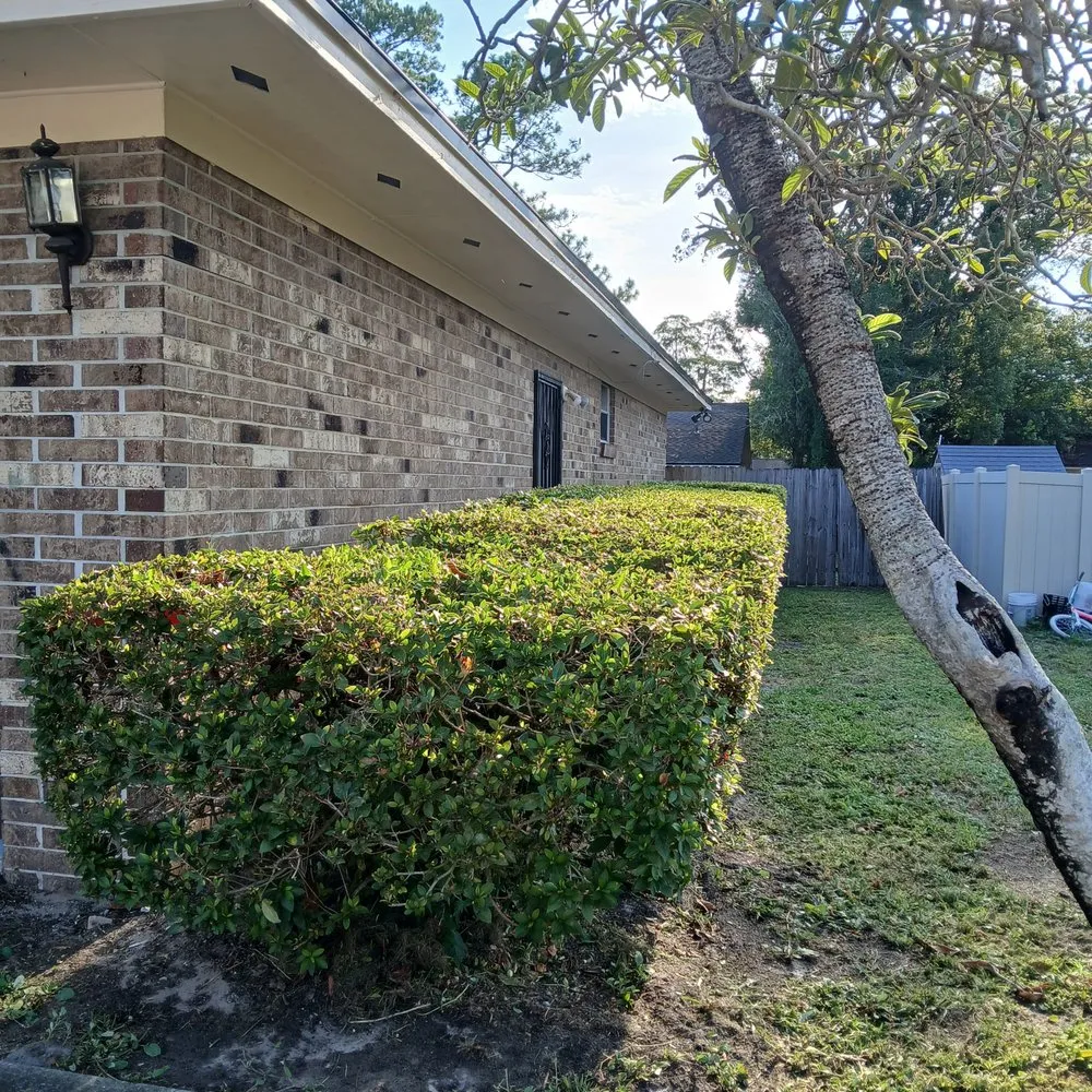 Top-rated yard cleanup service for year-round maintenance in Orange Park, FL by Cristo Vive Lawn Service