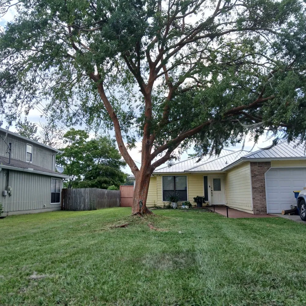 Reliable landscape installation experts serving Orange Park, FL - Cristo Vive Lawn Service