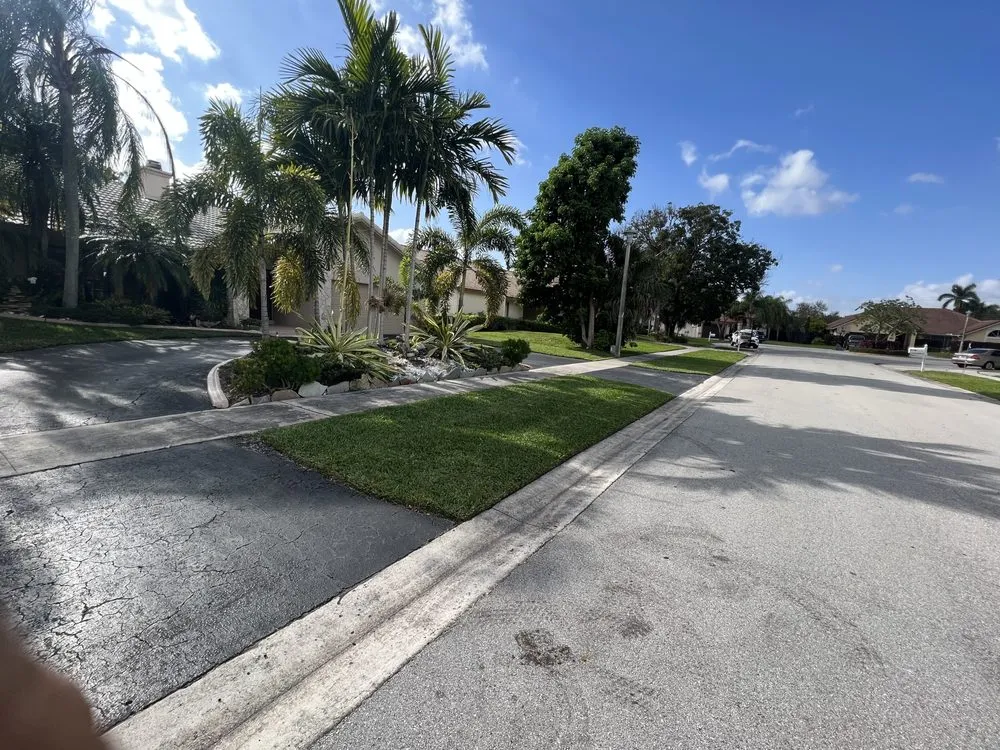 Local yard maintenance in Fort Lauderdale, FL by Cristobal lawn service
