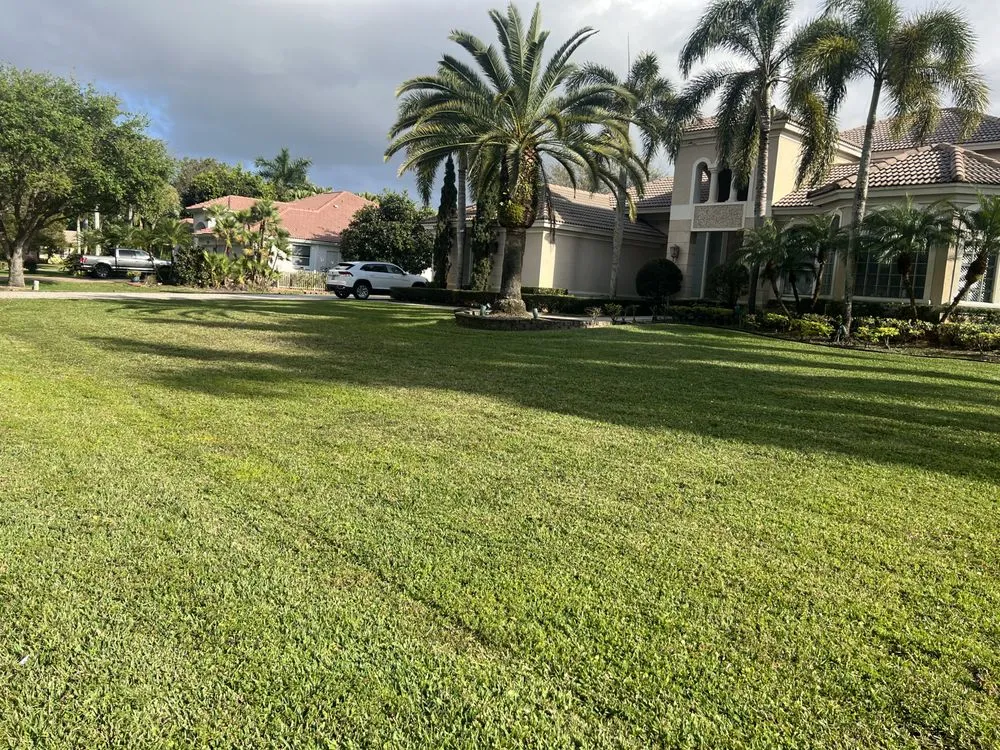 Professional yard cleanup service for year-round maintenance across Fort Lauderdale, FL - Cristobal lawn service