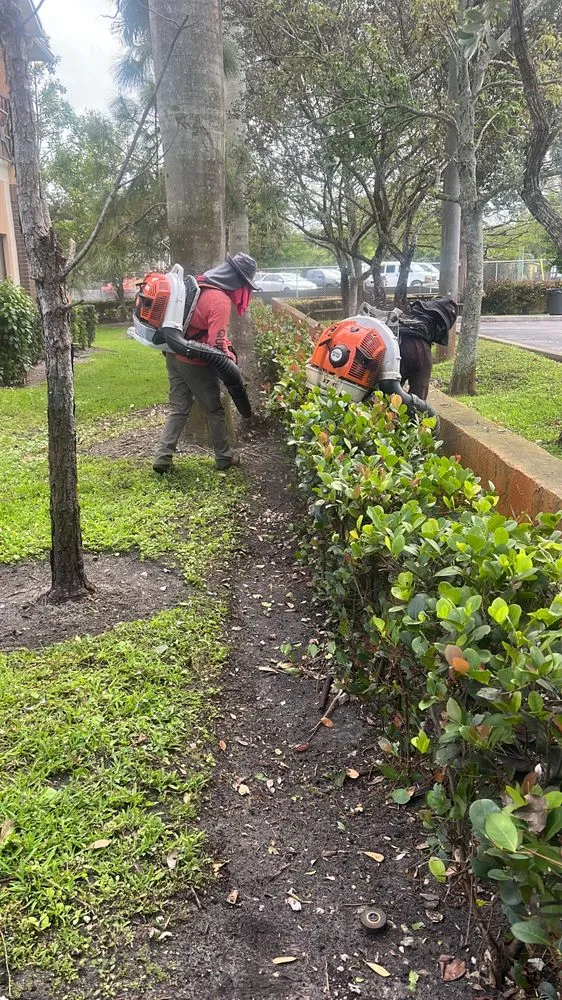 Local landscape design experts serving Fort Lauderdale, FL - Cristobal lawn service