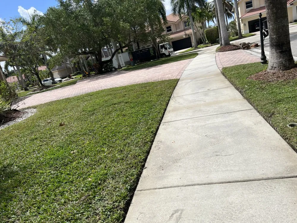 Top-rated outdoor landscaping in Fort Lauderdale, FL - Cristobal lawn service