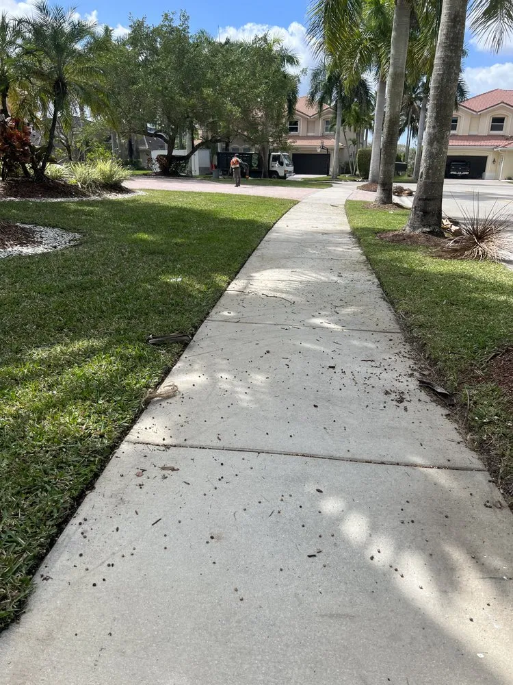 Reliable lawn care service for beautiful yards in Fort Lauderdale, FL by Cristobal lawn service