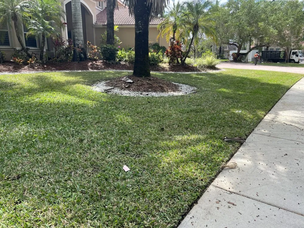 Reliable residential landscaping experts serving Fort Lauderdale, FL - Cristobal lawn service