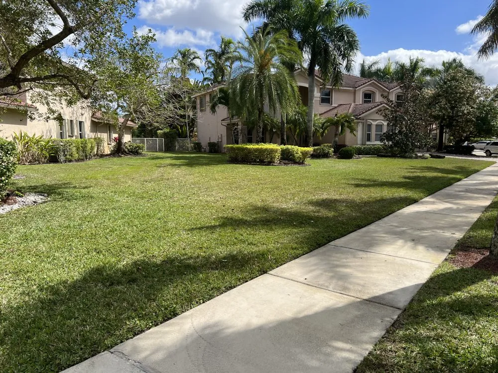 Reliable lawn care service for year-round maintenance in Fort Lauderdale, FL by Cristobal lawn service