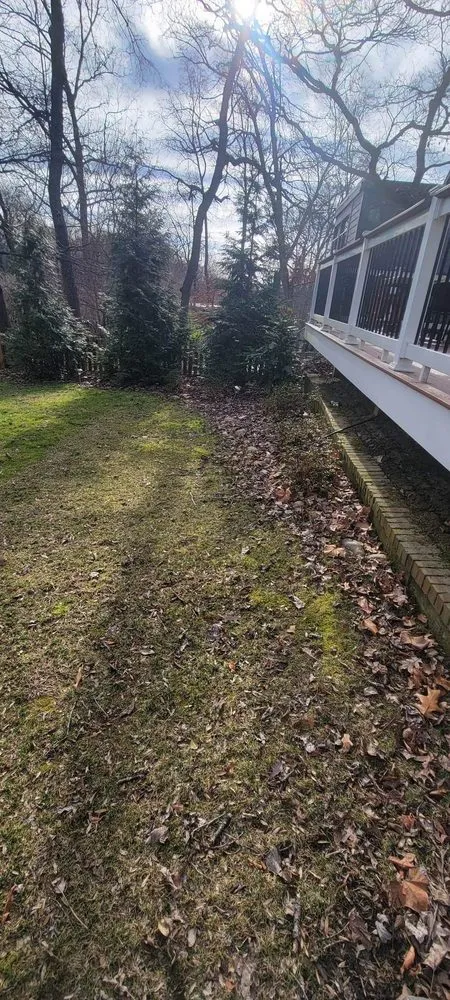 Reliable lawn mowing service for residential properties across Pimmit, VA - Cristobal Lawncare
