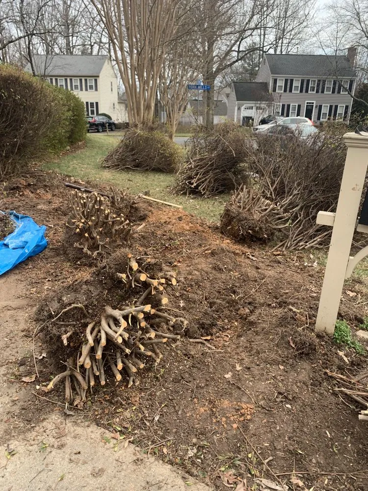 Affordable yard maintenance in Pimmit, VA by Cristobal Lawncare