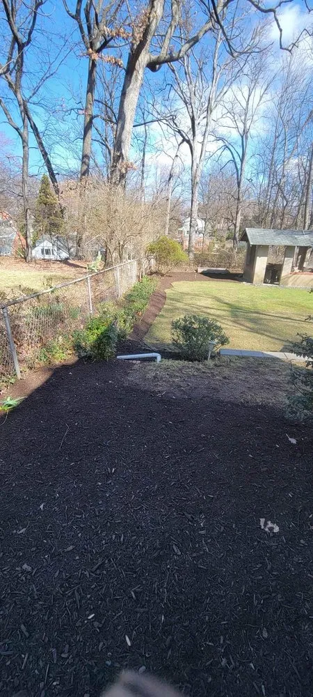 Trusted yard cleanup service in Pimmit, VA by Cristobal Lawncare