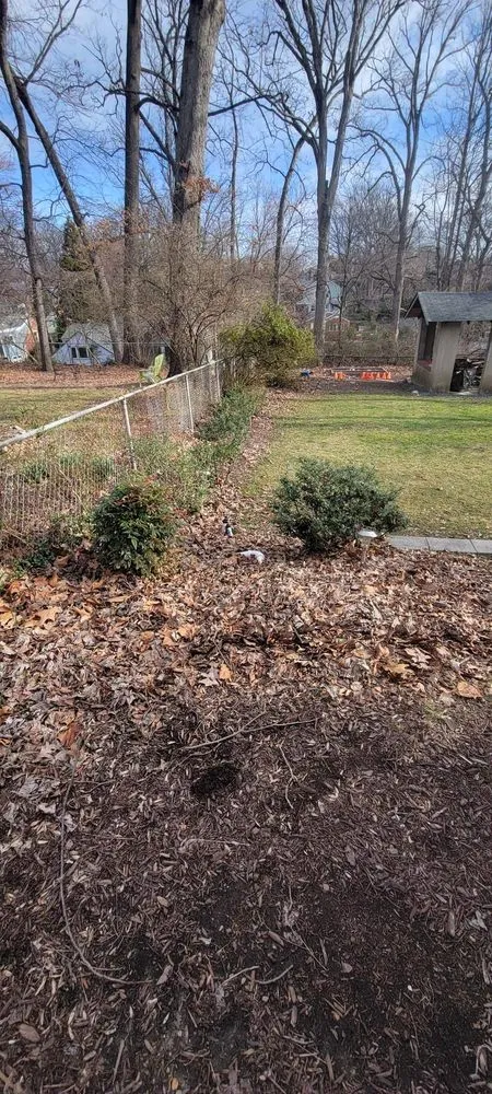 Reliable lawn mowing service in Pimmit, VA by Cristobal Lawncare