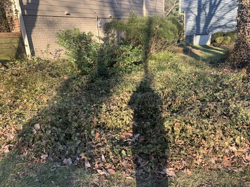 Custom landscaping services in Pimmit, VA by Cristobal Lawncare