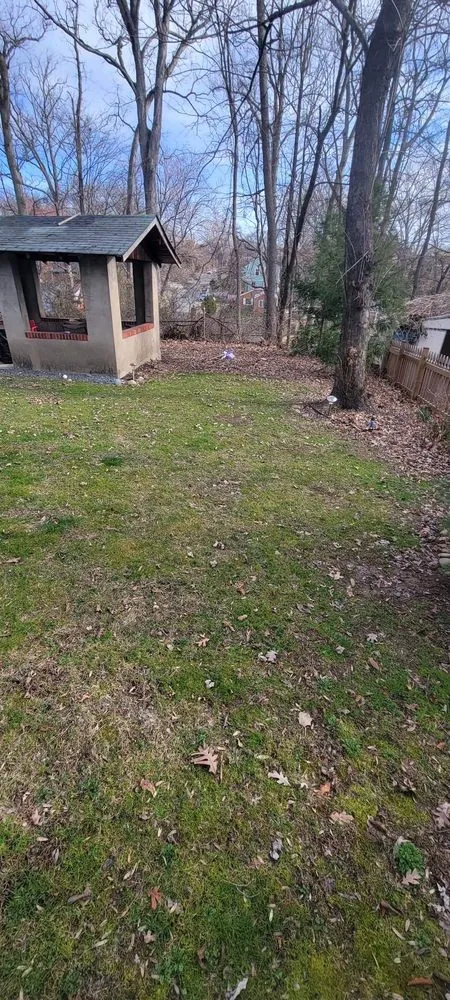 Local landscaping services for outdoor upgrades in Pimmit, VA by Cristobal Lawncare