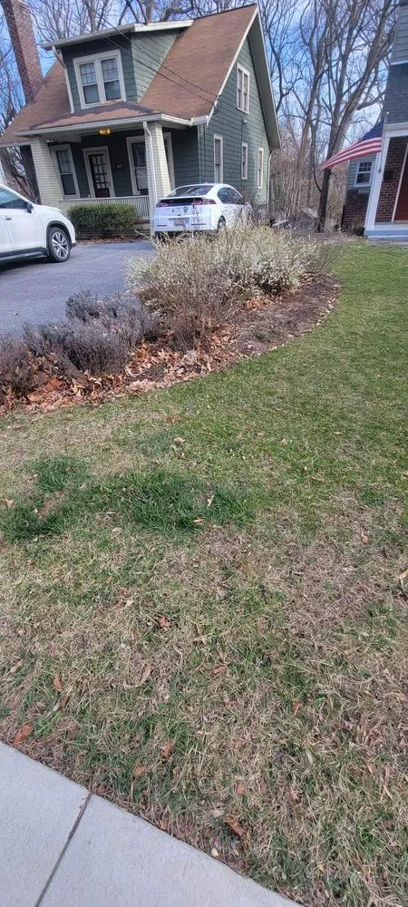 Reliable lawn care service for beautiful yards across Pimmit, VA - Cristobal Lawncare