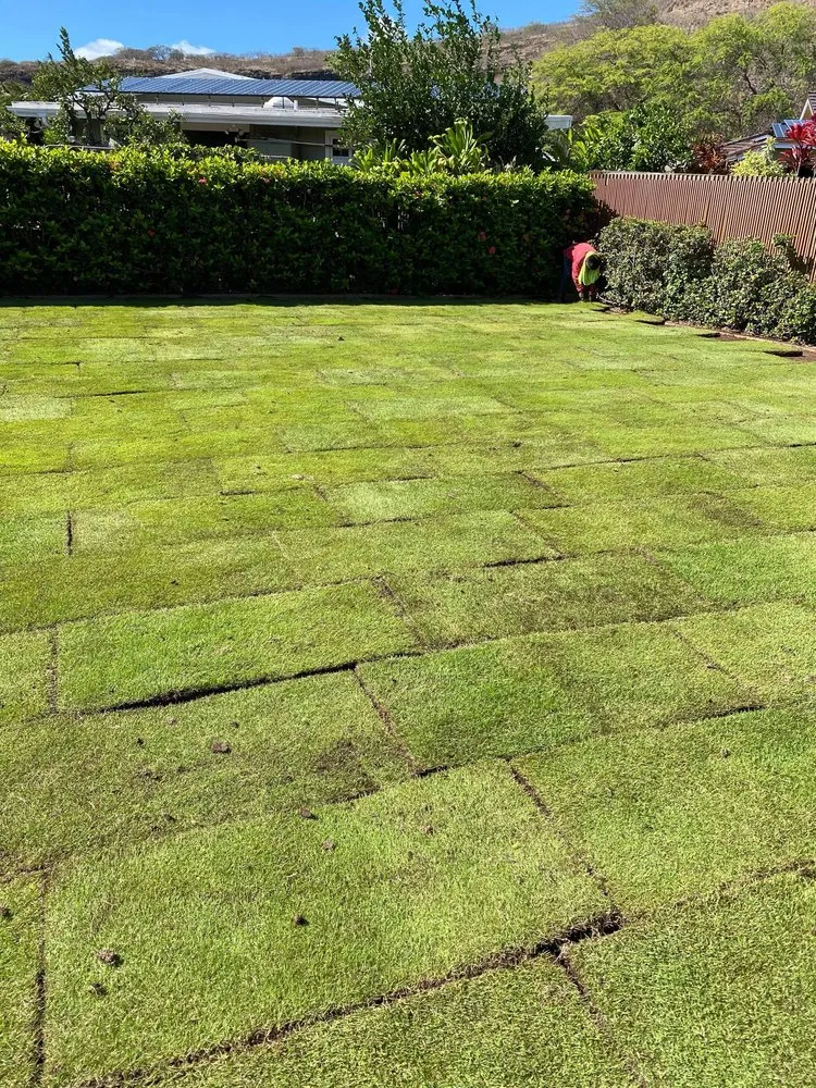 Custom landscape installation for outdoor upgrades in Honolulu, HI by Cristobal Yard Service