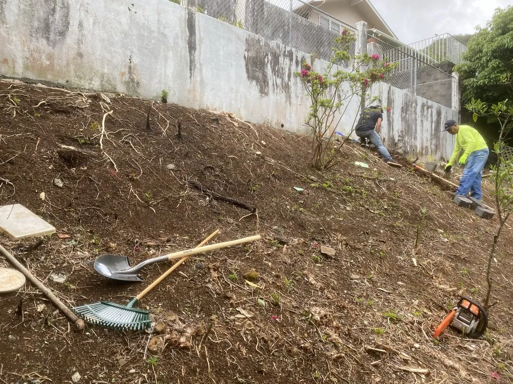 Custom landscaping services experts serving Honolulu, HI - Cristobal Yard Service