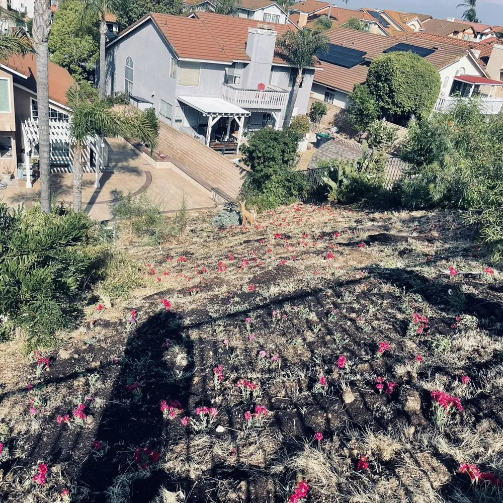 Local residential landscaping near you in Ontario, CA by Cristobal’s Tree & Gardening Service