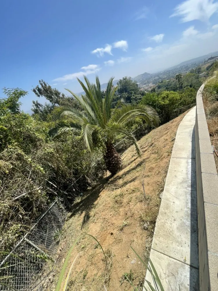 Reliable garden landscaping for year-round maintenance in Ontario, CA by Cristobal’s Tree & Gardening Service