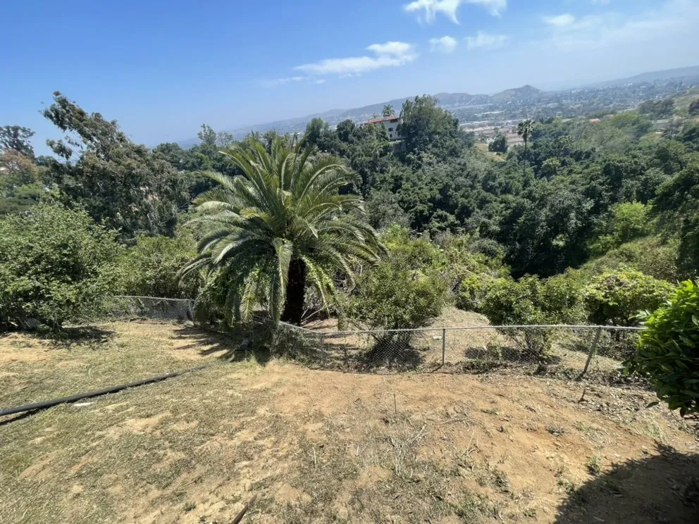 Reliable yard cleanup service experts serving Ontario, CA - Cristobal’s Tree & Gardening Service