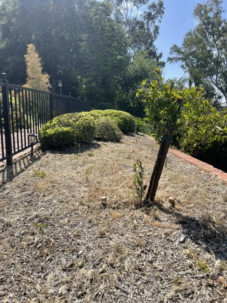 Trusted garden landscaping for outdoor upgrades across Ontario, CA - Cristobal’s Tree & Gardening Service