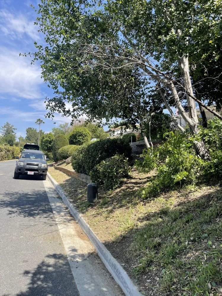 Expert landscape design in Ontario, CA - Cristobal’s Tree & Gardening Service