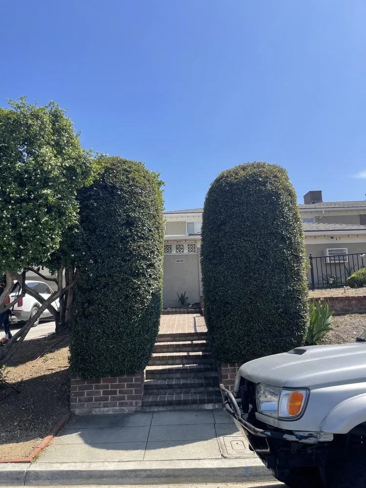 Professional lawn care service in Ontario, CA by Cristobal’s Tree & Gardening Service