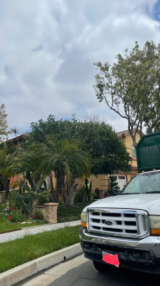 Top-rated outdoor landscaping in Ontario, CA by Cristobal’s Tree & Gardening Service