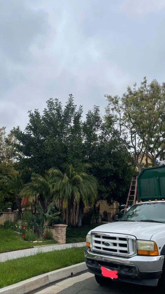 Reliable landscaping services experts serving Ontario, CA - Cristobal’s Tree & Gardening Service