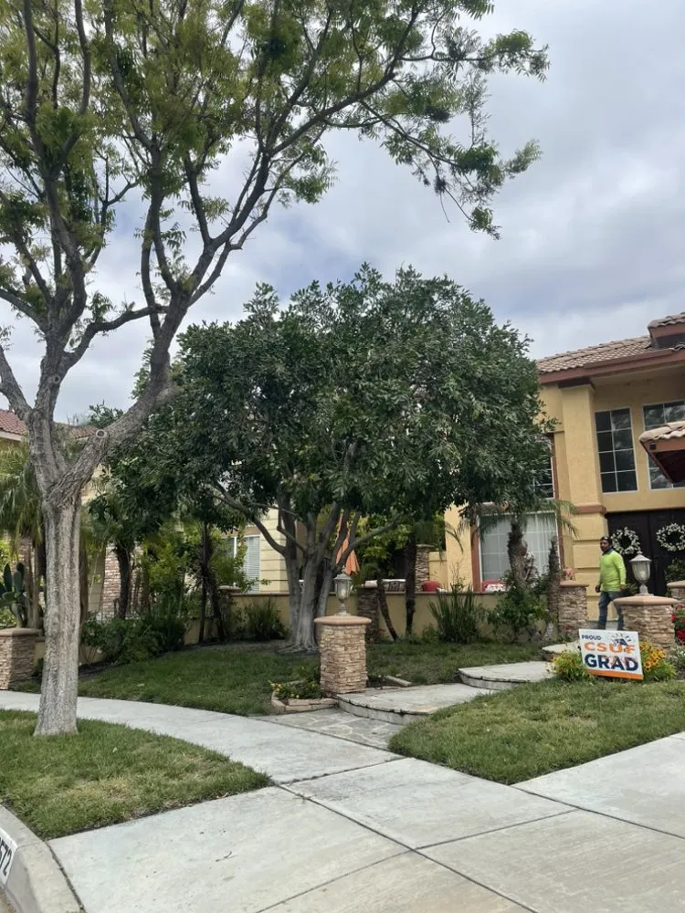 Expert lawn mowing service experts serving Ontario, CA - Cristobal’s Tree & Gardening Service