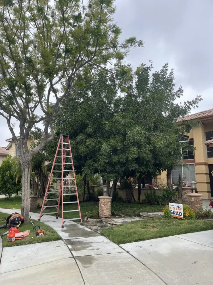 Professional yard maintenance near you across Ontario, CA - Cristobal’s Tree & Gardening Service