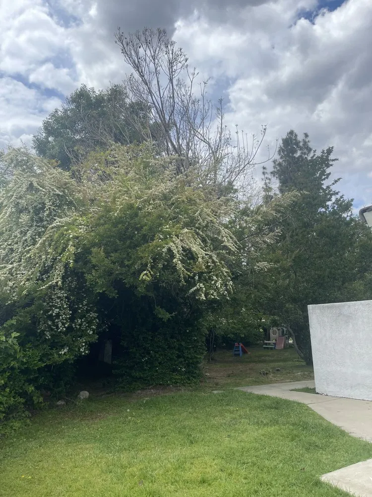 Top-rated landscape design near you in Ontario, CA by Cristobal’s Tree & Gardening Service