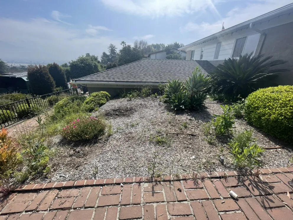 Top-rated landscape installation experts serving Ontario, CA - Cristobal’s Tree & Gardening Service