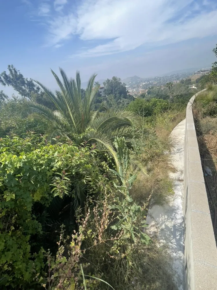 Custom outdoor landscaping in Ontario, CA by Cristobal’s Tree & Gardening Service