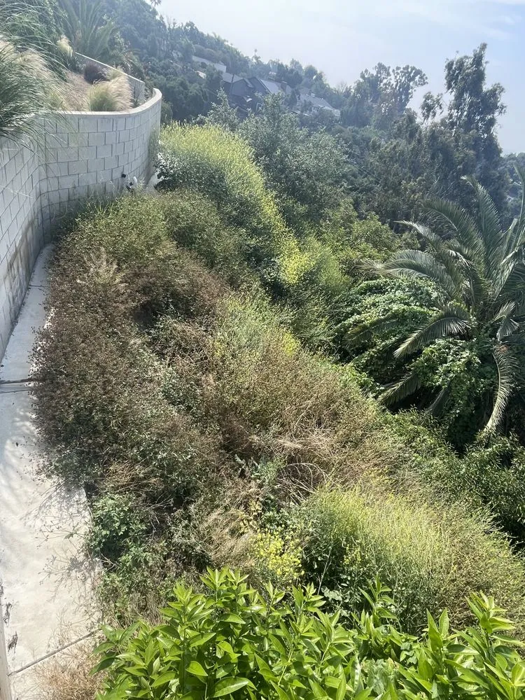 Local landscaping services for outdoor upgrades across Ontario, CA - Cristobal’s Tree & Gardening Service