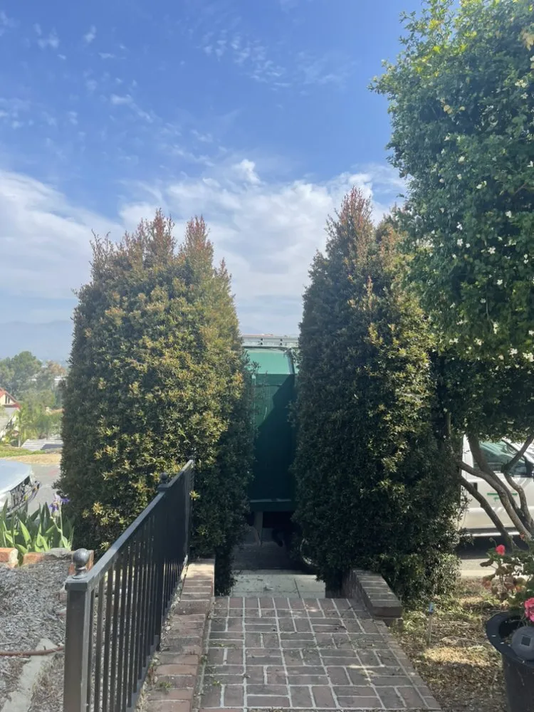 Custom landscaping services in Ontario, CA - Cristobal’s Tree & Gardening Service