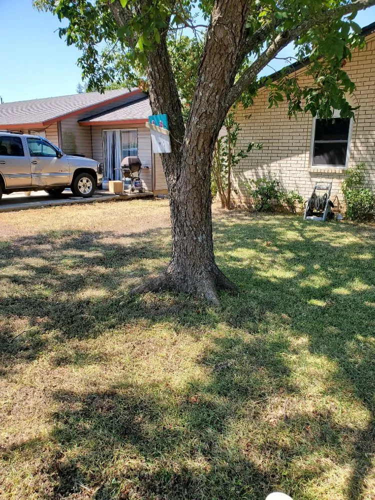 Custom lawn mowing service in Taylor, TX by Critchfield Lawn Service