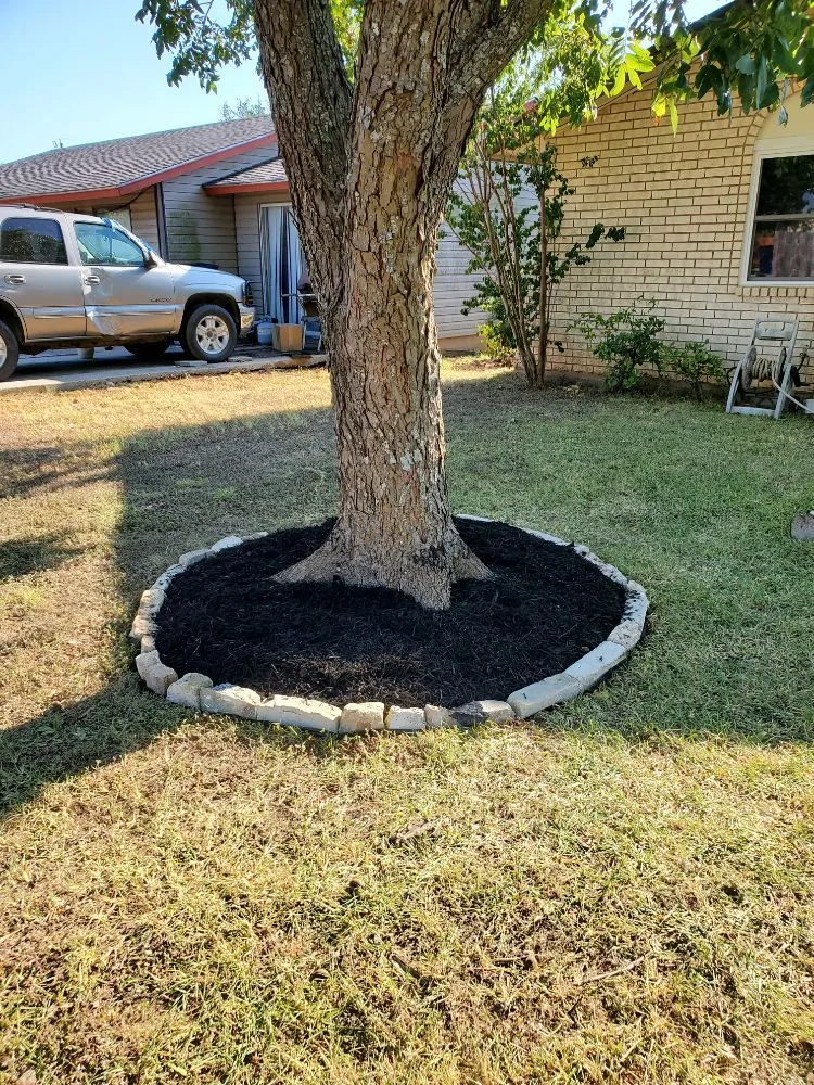 Trusted landscape installation in Taylor, TX - Critchfield Lawn Service