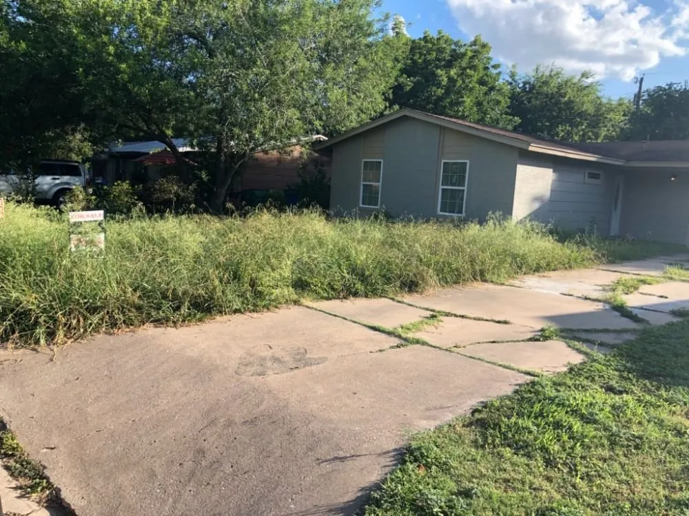 Affordable lawn mowing service for year-round maintenance in Taylor, TX by Critchfield Lawn Service