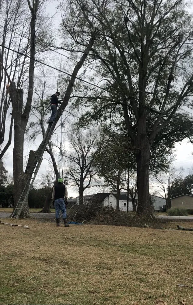 Reliable landscape design in Bladenboro, NC - Critical Tree and Property Solutions