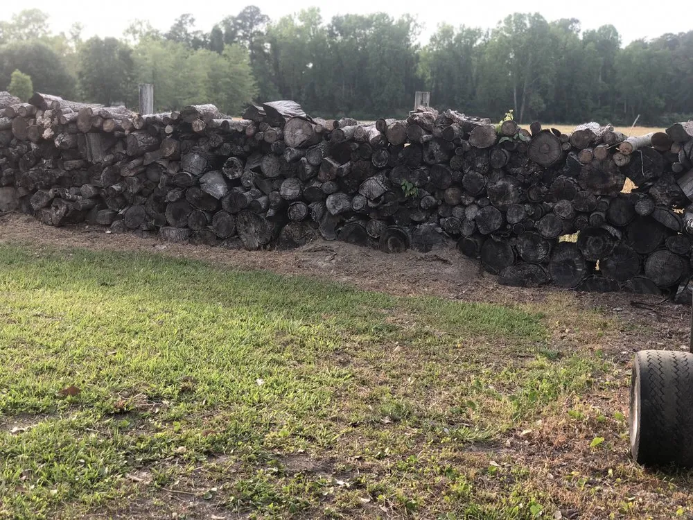 Professional landscaping services for homes across Bladenboro, NC - Critical Tree and Property Solutions